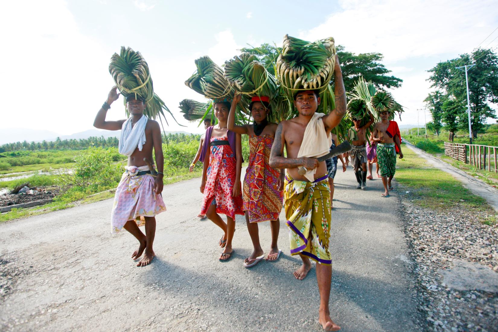 The United Nations In Timor Leste United Nations In Timor Leste   Un Timor 