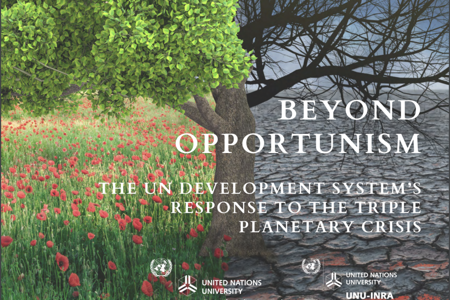 Beyond Opportunism: The UN Development System’s Response To The Triple ...