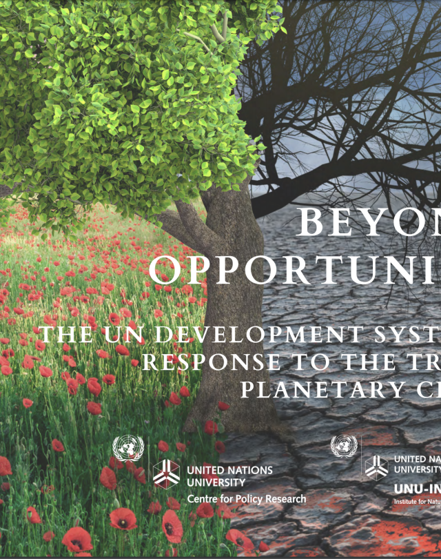 The UN Development System’s response to the Triple Planetary Crisis