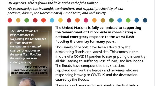 UN News Bulletin, March 2021 Edition