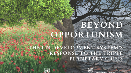The UN Development System’s response to the Triple Planetary Crisis