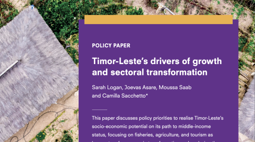 This policy paper discusses policy priorities to realise Timor-Leste’s socio-economic potential on its path to middle-income status, focusing on fisheries, agriculture, and tourism as key sectors for economic transformation and analysing the role of infrastructure investment, financing frameworks, and digital innovation in making this possible.