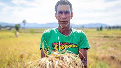 Bento Pereira in his family-owned paddy field harvesting rice. 